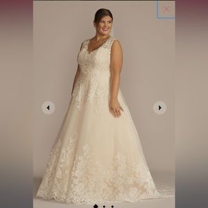 David’s Bridal Plus Size Wedding Dress